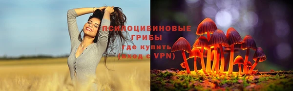 прущие грибы Лиски