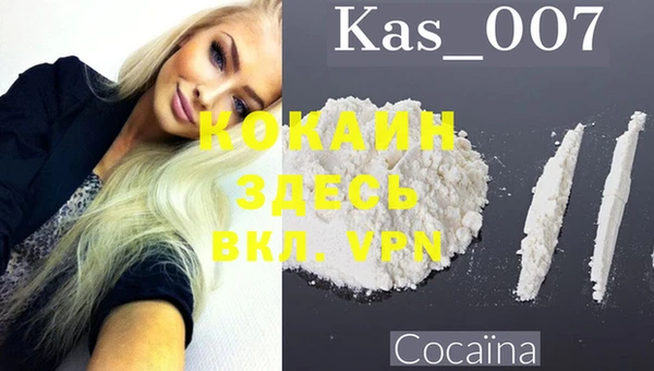 прущие грибы Лиски