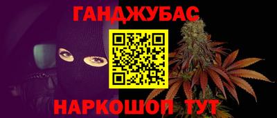 индика Бийск