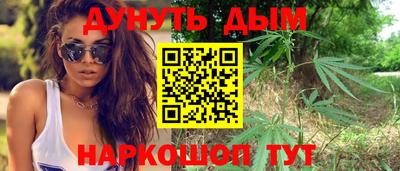 индика Бийск