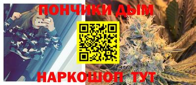 индика Бийск