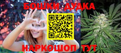 индика Бийск