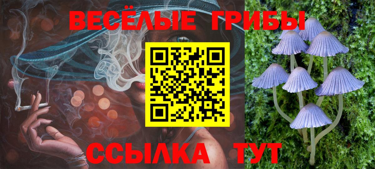 Псилоцибиновые грибы Psilocybe  Ялуторовск  Псилоцибиновые грибы прущие грибы 