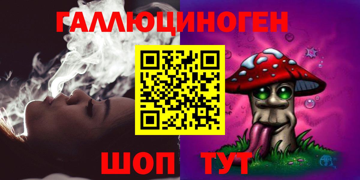 Псилоцибиновые грибы Psilocybe Ялуторовск